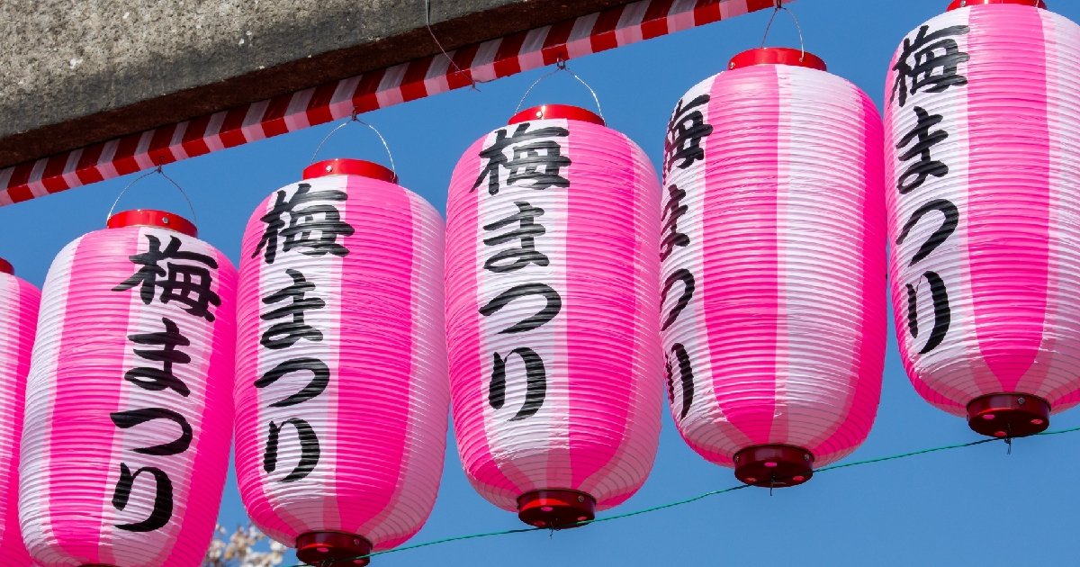 🌸 세계의 매화 공원 (세카이노우메코엔) 이미지 9